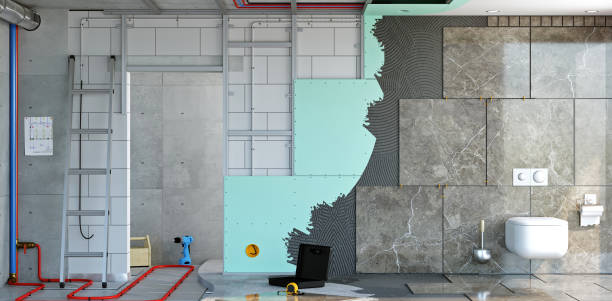 Best Mold Documentation for Insurance Claims  in Celina, TN