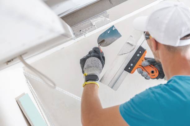  Celina, TN Mold Removal Pros